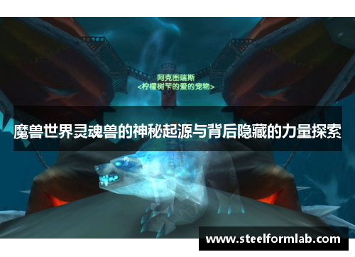 魔兽世界灵魂兽的神秘起源与背后隐藏的力量探索
