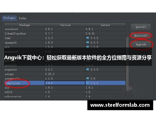 Angvik下载中心：轻松获取最新版本软件的全方位指南与资源分享