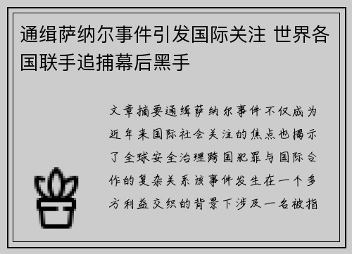 通缉萨纳尔事件引发国际关注 世界各国联手追捕幕后黑手